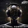 Digital Rebirth