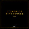 Tiny Voices