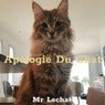 Apologie du chat