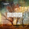Organica #26