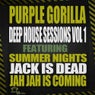 Deep House Sessions Vol 1