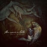 Navigator - Bonus Track Version