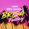 Fantasy (feat. Brisa) [remix]