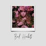 Bad Habits