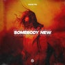 Somebody New (Extended Mix)