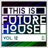 This Is Future House, Vol. 12