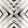 Cayden Essentials 2015