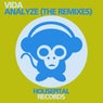 Analyze (The Remixes)