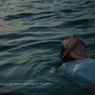 the water in you longs for the ocean