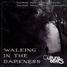 Walking In The Darkness