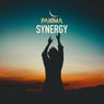 Synergy