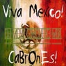 Viva Mexico 2010