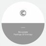 Feelings Of Entropy EP