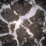 Patterns