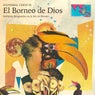 El Borneo de Dios: Sinfonias Resgatadas en la Isla Borneo
