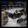 Last BLACKBIRD