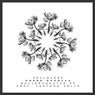 Rollercoaster EP