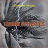Techno Stylistics (Storm Techno for Clubs)