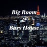 Big Room & Bass House
