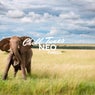 Neo