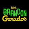 Garados (Radio Edit)