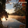 Fresh Morning