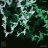 RAUM VA 001