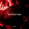 Without You