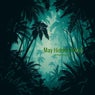 May Hidden Pulse