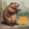 Bobr Curwa