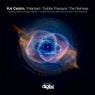 Polarized / Subtle Pressure: The Remixes