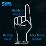 Hands in the Air(Alex Mind Remix)