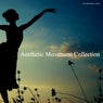 Aesthetic Movement Collection