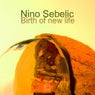 Birth of New Life