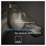 Dark Triangles EP