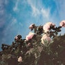 Break (feat. Minke) [Oliver Michael Remix]