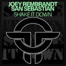 Shake It Down