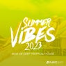 Summer Vibes 2023: Best of Deep Tropical House