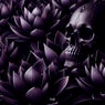 BL4CK LOTUS