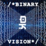 Binary Vision