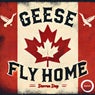 Geese Fly Home