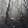 Fight / Flight EP