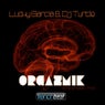 Orgazmik (extended Mix)