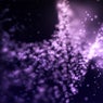 Emerge