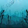 Specific Ocean
