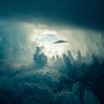 The Starseed Alien