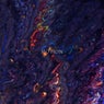 Motion