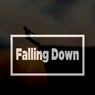 Falling Down