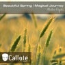 Beautiful Spring / Magical Journey