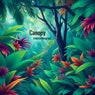Canopy